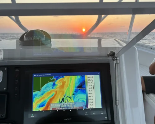 Sat2Nav-2-1536x2048.jpeg