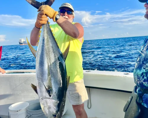 Yellowfin-tuna-1536x2048.jpeg